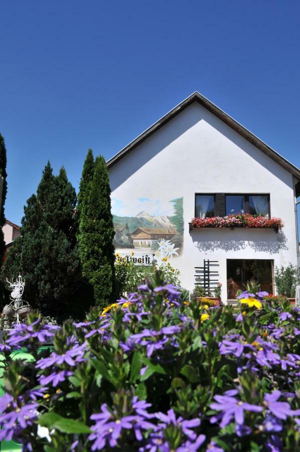 Apartment Edelweiss Egsdorf Екстер'єр фото